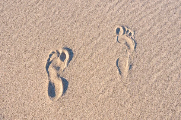 foot print in sand dunes