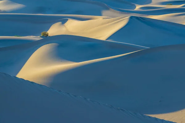 Hermoso Paisaje Mesquite Flat Sand Dunes Parque Nacional Death Valley —  Fotos de Stock