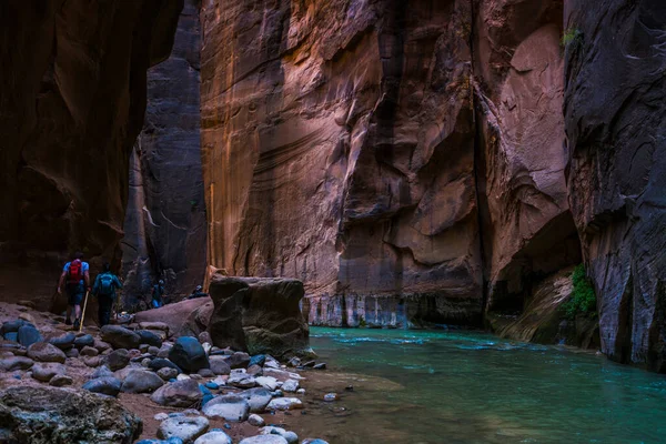 Hermosa Estrecha Por Tarde Parque Nacional Zion Utah —  Fotos de Stock