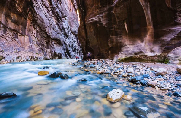 Beautiful Narrow Afternoon Zion National Park Utah Usa — стоковое фото