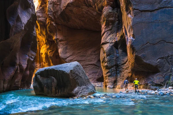 Hermosa Estrecha Por Tarde Parque Nacional Zion Utah — Foto de Stock