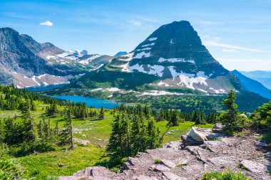 Logan, güneşli bir günde Buzul Ulusal Parkı 'nda patika. Montana, ABD..