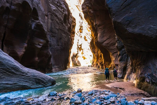 Bonito Estreito Tarde Parque Nacional Zion Utah Eua — Fotografia de Stock