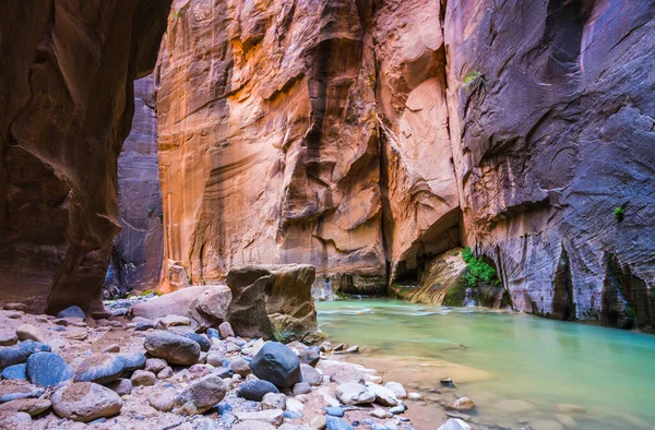 Hermosa Estrecha Por Tarde Parque Nacional Zion Utah —  Fotos de Stock