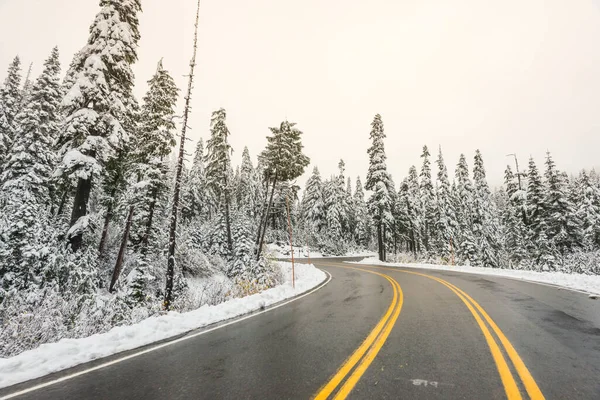 Karla Kaplı Ormanın Manzaralı Yolu — Stok fotoğraf