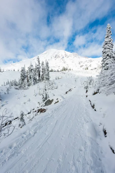 Cennet Bölgesinde Karla Kaplı Bir Patika Rainier Dağı Ulusal Parkı — Stok fotoğraf
