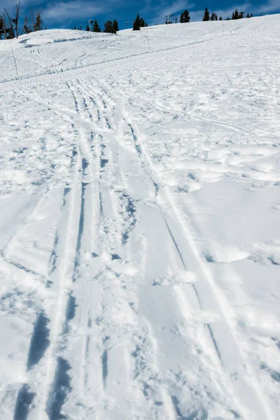 many ski track in ski resort area.