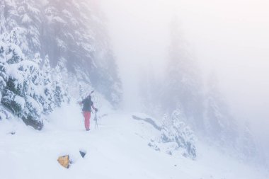 Rainier Ulusal Parkı, Washington, ABD 'de, kar ormanlarında sis olan bir adam..