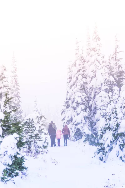 family walk in snow forest on holiday.
