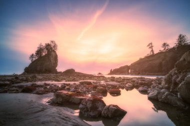 Gün batımında deniz yığınları mavi ve mor ışıklarla, Washington, ABD 'deki Olimpiyat Ulusal Parkı' ndaki ikinci plajın manzarası.
