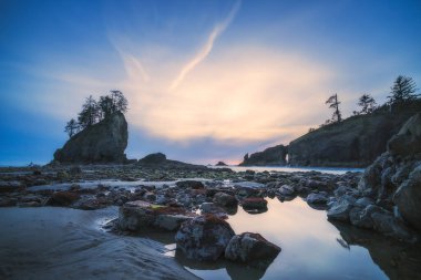 Gün batımında deniz yığınları mavi ve mor ışıklarla, Washington, ABD 'deki Olimpiyat Ulusal Parkı' ndaki ikinci plajın manzarası.