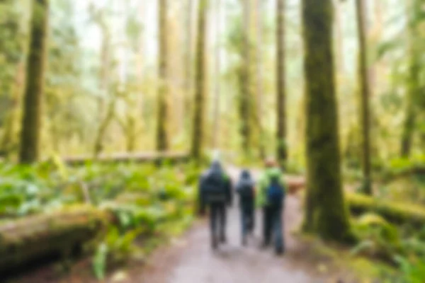 People Hiking Forest Olympic National Park Area Washington Usa Blurred — Stock Photo, Image