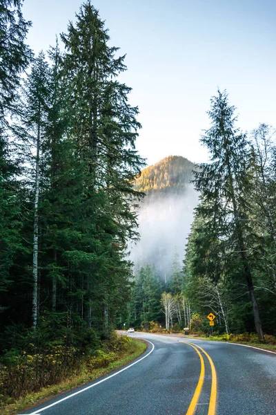 Scene Vejen Til Bjerget Morgenen Med Tåge Washington Usa - Stock-foto