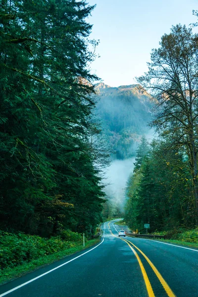 Scene Road Mountain Morning Fog Washington Usa — Stock Photo, Image