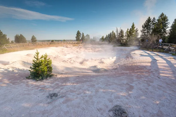 Naturskön Utsikt Över Färg Full Geysers Morgonen Yellowstone National Park — Stockfoto