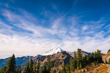 Artist Point yürüyüş alanından Baker Dağı manzaralı bir yer. Baker Snoqualmie Ulusal Orman Parkı, Washington, ABD..