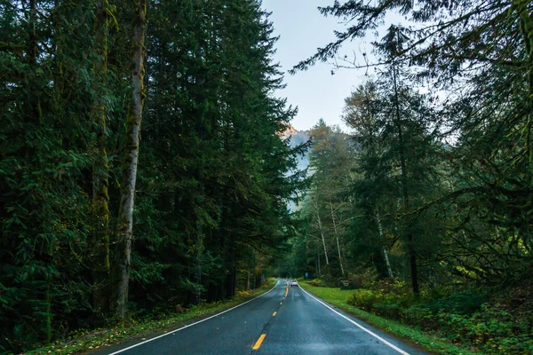 Scen Vägen Till Berget Morgonen Med Dimma Washington Usa — Stockfoto