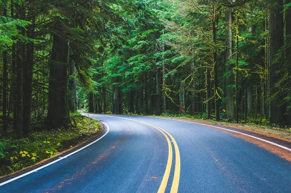 Scene Beautiful Road Rainier National Park United State — Stock Photo, Image