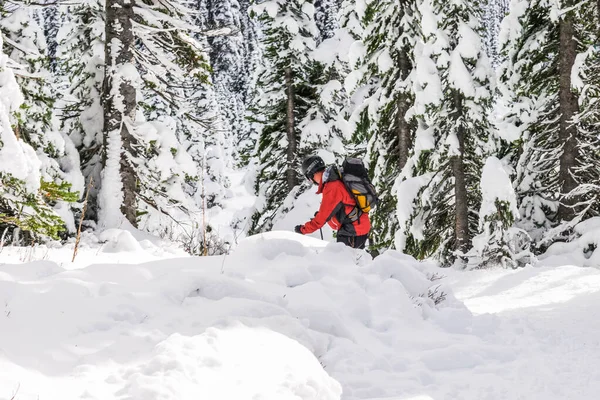 Skier Ski Την Ηλιόλουστη Μέρα Rainier Εθνικό Πάρκο Ουάσιγκτον Ηπα — Φωτογραφία Αρχείου