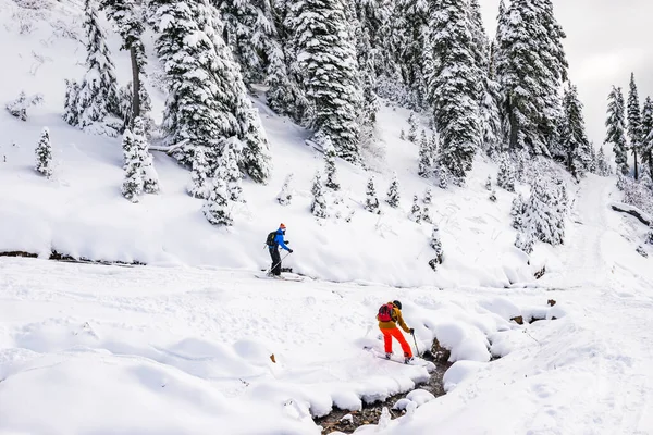 Ski Skieur Par Temps Ensoleillé Parc National Rainier Washington Usa — Photo