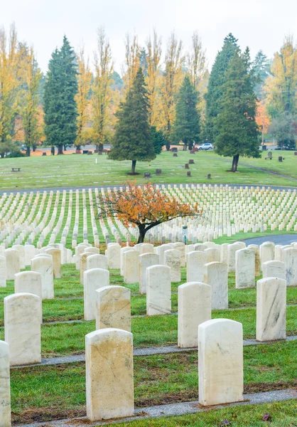 Militaire Grafstenen Het Kerkhof — Stockfoto