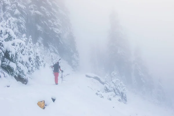 Homem Floresta Neve Com Nevoeiro Parque Nacional Rainier Washington Eua — Fotografia de Stock