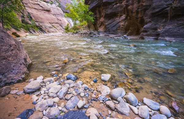 Zion Estreito Com Rio Vergin Parque Nacional Zion Utah Eua — Fotografia de Stock