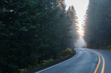 Sabah, Washington, ABD 'de sisli bir dağ yolu manzarası..