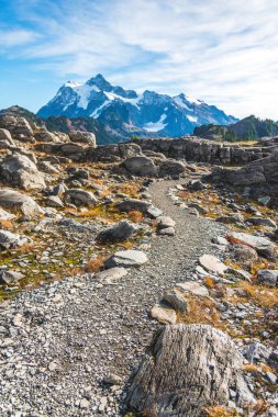 ,Shuksan Dağı 'na giden yol, Shuksan Dağı' nın o yaz, Washington, ABD 'deki Sanatçı Noktası bölgesinin manzaralı manzarası...