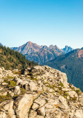 Beyaz kaya, sanatçı noktası yürüyüş alanı manzarası, dağ manzarası. Baker Snoqualmie Ulusal Orman Parkı, Washington, ABD..