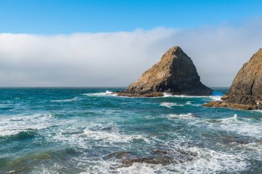 Heceta Lighthouse State Sc 'deki sahilin manzarası.