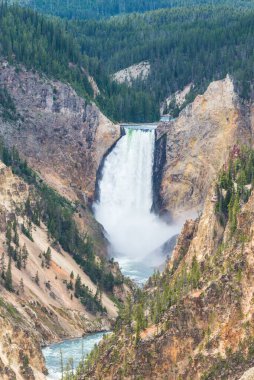 Yellowstone Ulusal Parkı, Wyoming.usa 'da.