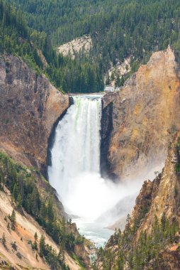 Yellowstone Ulusal Parkı, Wyoming.usa 'da.
