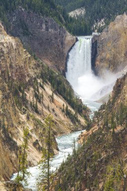Yellowstone Ulusal Parkı, Wyoming.usa 'da.