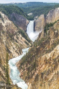 Yellowstone Ulusal Parkı, Wyoming.usa 'da.