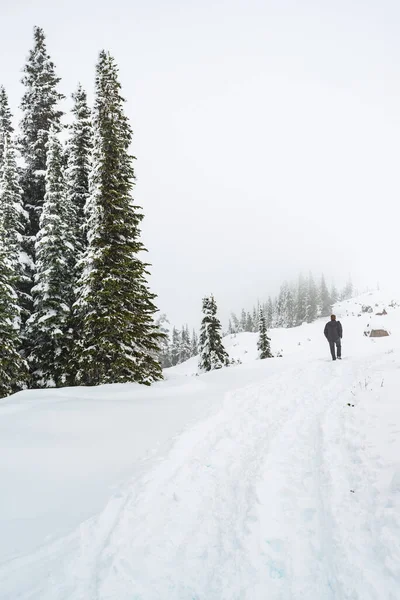 Dağa Doğru Yürüyen Bir Adam Cennet Bölgesinde Karla Kaplı Bir — Stok fotoğraf