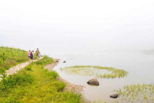 Ormanın manzaralı manzarası, çayırlık ve göl, gün içinde sisli...