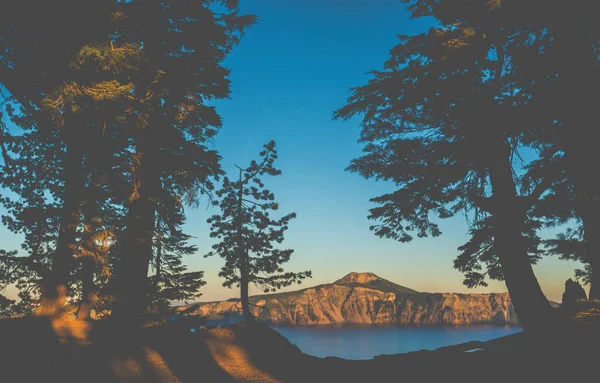 Vista Panorâmica Árvore Com Luz Pôr Sol Estilo Vintage — Fotografia de Stock