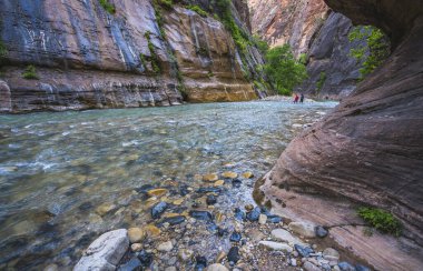 Utah, ABD 'deki Zion Ulusal Parkı' ndaki Vergin nehri ile zion daraldı..