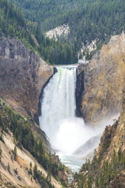 Yellowstone Ulusal Parkı, Wyoming.usa 'da.