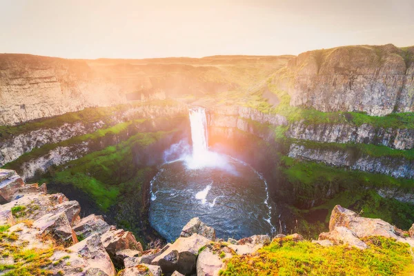 Bahar mevsiminde gün batımında solgunluk düşer, Washington, ABD.