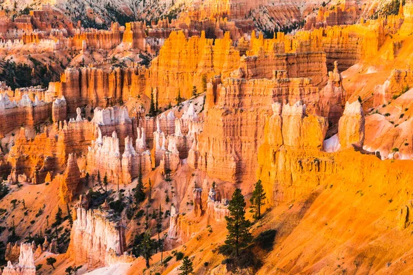 Bryce Canyon Nationaal Park Bij Zonsopgang Utah Verenigde Staten — Stockfoto