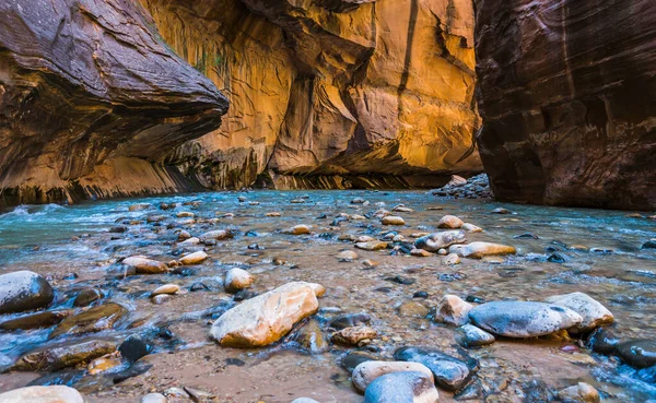Zion Estrecho Con Río Vergin Parque Nacional Zion Utah —  Fotos de Stock