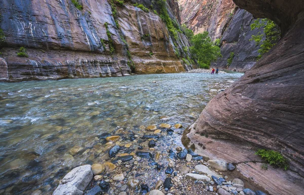 Zion Estreito Com Rio Vergin Parque Nacional Zion Utah Eua — Fotografia de Stock