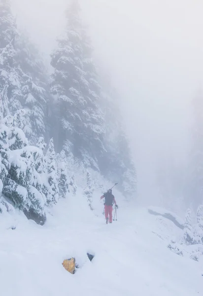 Man Snöskog Med Dimma Rainier National Park Washington Usa — Stockfoto