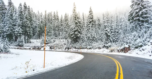 Karla Kaplı Ormanın Manzaralı Yolu — Stok fotoğraf