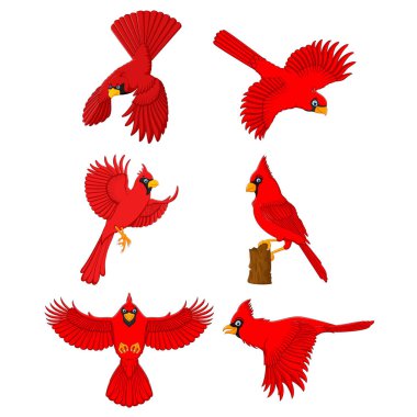 Redbird Free Vector Eps Cdr Ai Svg Vector Illustration Graphic Art Redbird Free Vector Eps Cdr Ai Svg Vector Illustration Graphic Art