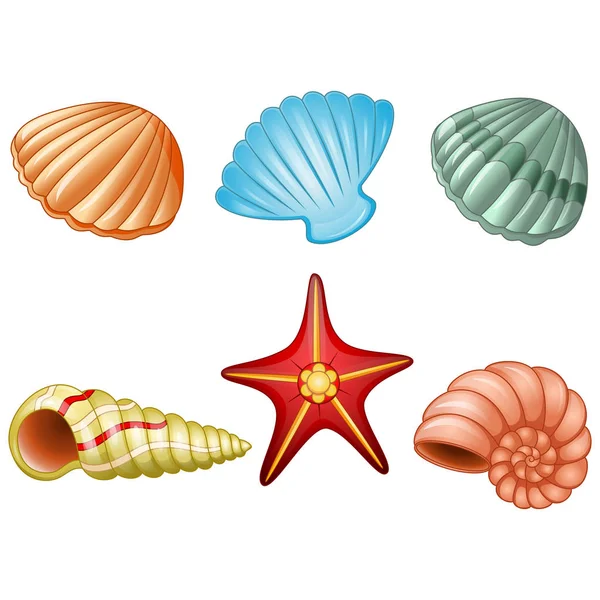 Conchas do mar e estrela do mar —  Vetores de Stock