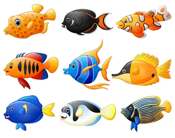 Juego de dibujos animados de peces vector, gráfico vectorial © dualoro imagen #132494342 Juego de dibujos animados de peces vector, gráfico vectorial © dualoro imagen #132494342