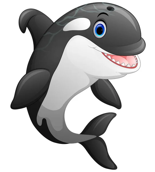 Cartone animato carino balena assassino — Vettoriale Stock